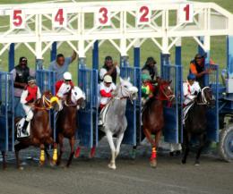 And they’re off with an even break at the races.